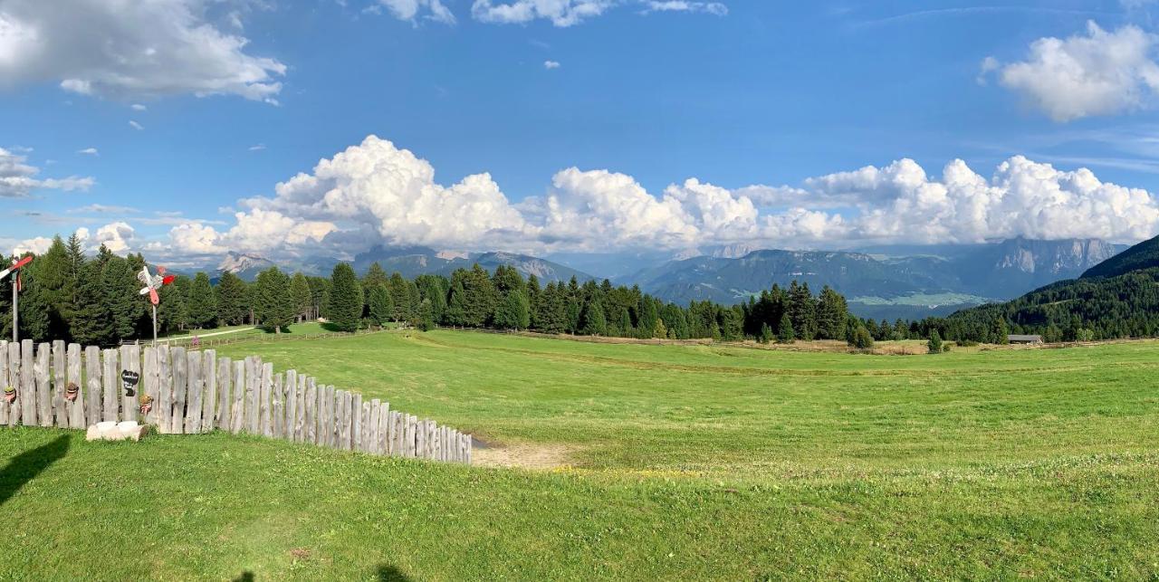Apartment Hanile Sarentino Екстериор снимка